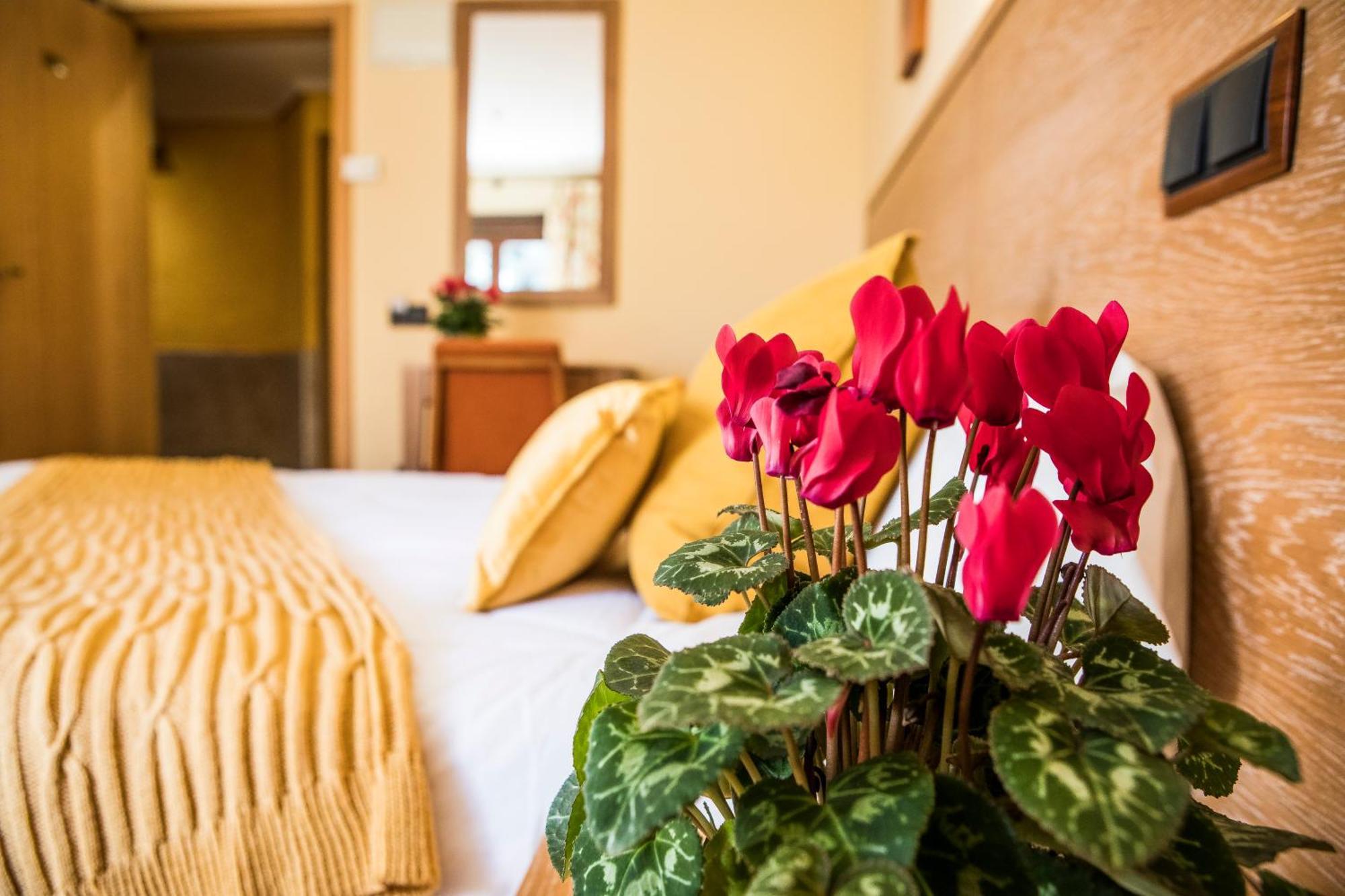 Hotel Casa Jose Diaz San Agustín de Guadalix Kültér fotó
